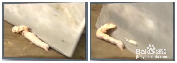 凤爪快速去骨头 无骨凤爪完全不吐