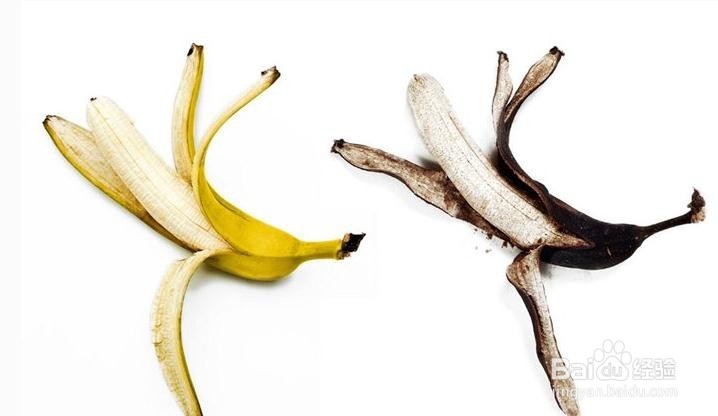 无籽葡萄能吃吗