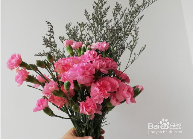 怎样制作漂亮的康乃馨花束
