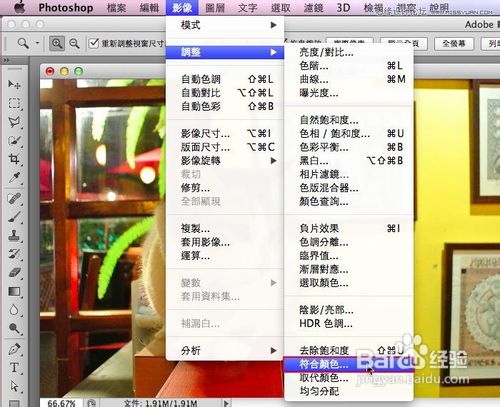 Photoshop给偏色的猫咪照片校色