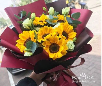向日葵插水里要怎么养 百度经验