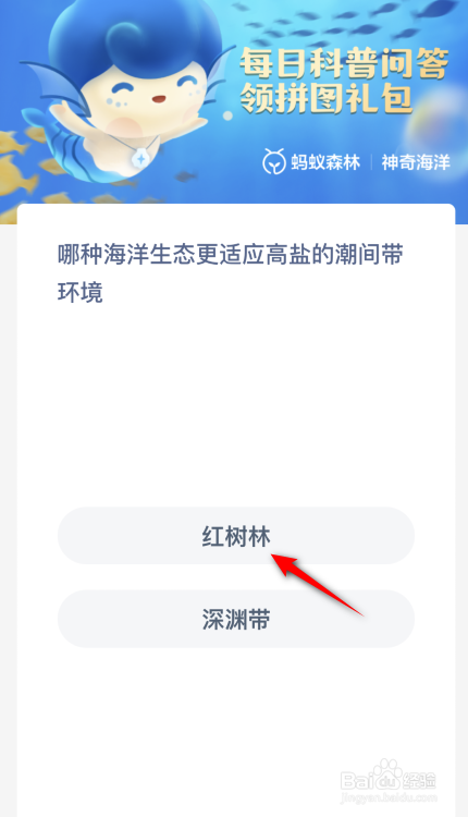 神奇海洋：哪种海洋生态更适应高盐的潮间带环境