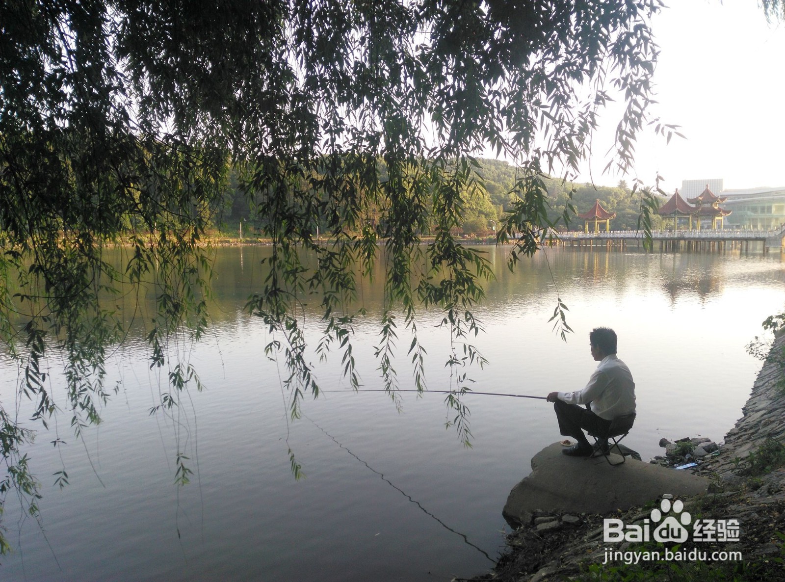 阴天钓鱼怎么钓
