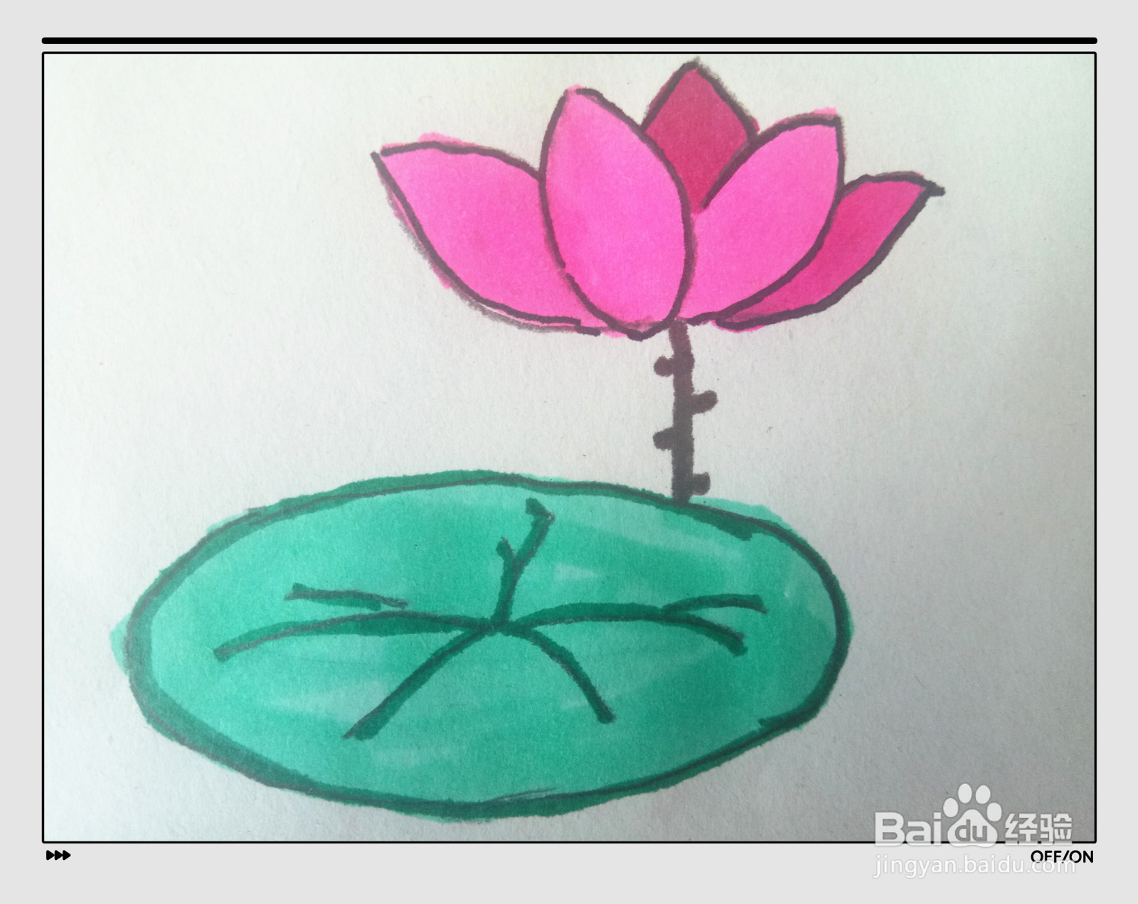 荷花的简笔画怎么画？