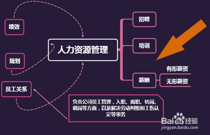 Xmind软件中如何绘制人力资源管理导图