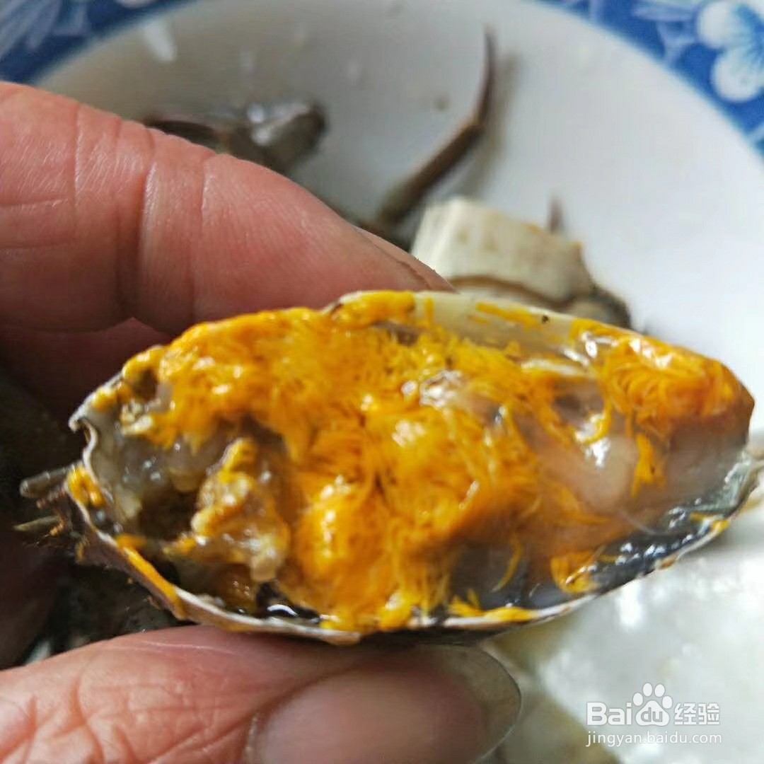 六月黄和大闸蟹到底有哪些区别？