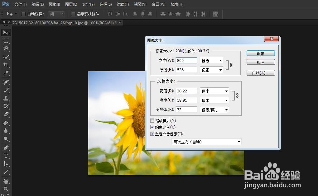 PS如何调整图像大小