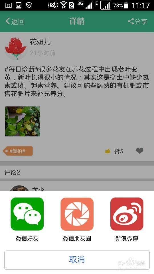 花开了APP如何下载?