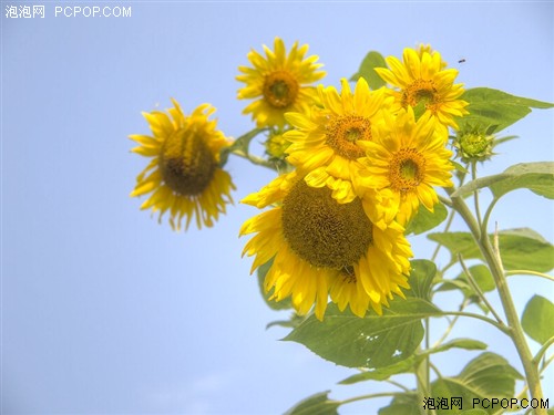 摄影跟我学简单几步学会制作HDR照片