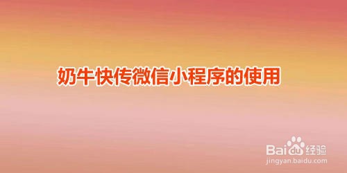 使用奶牛快传小程序,怎样传输或分享大文件