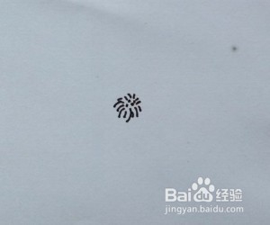 花卉水彩画——虞美人