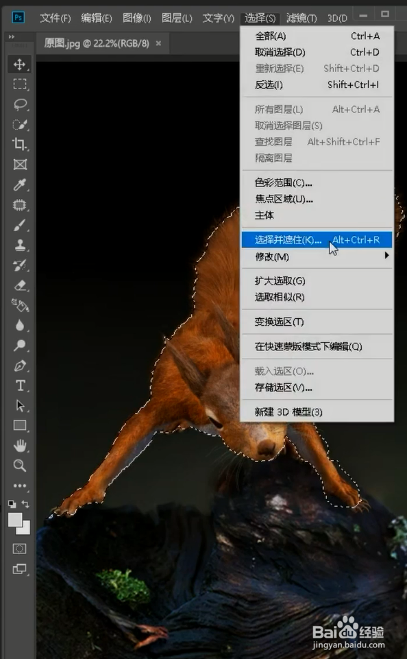 PS抠松鼠小技巧
