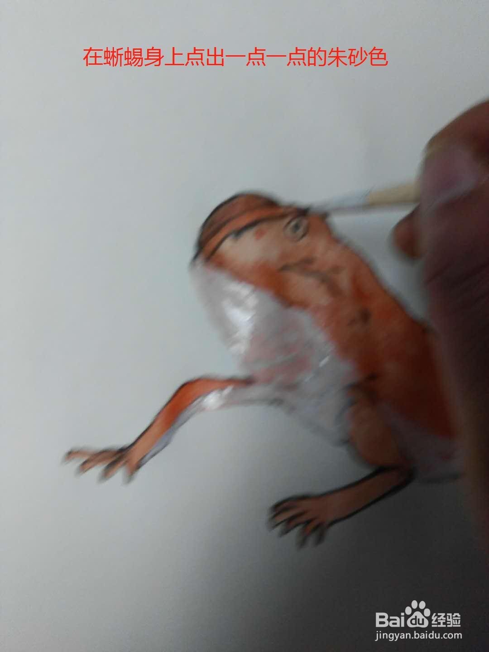 水彩画沙漠蜥蜴的画法