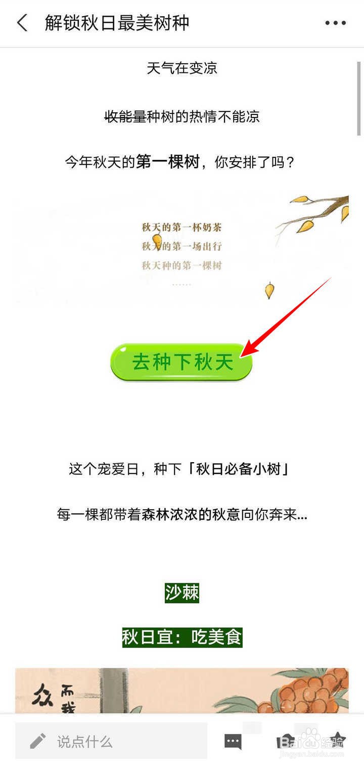 支付宝蚂蚁森林宠爱日秋日最美种树活动怎么参加