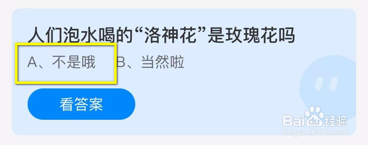 蚂蚁庄园2024.10.25：“洛神花”是玫瑰花吗