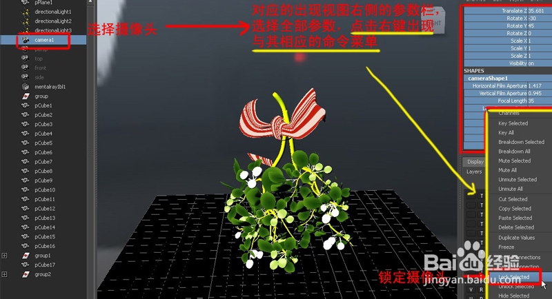 麻鸭怎样烤