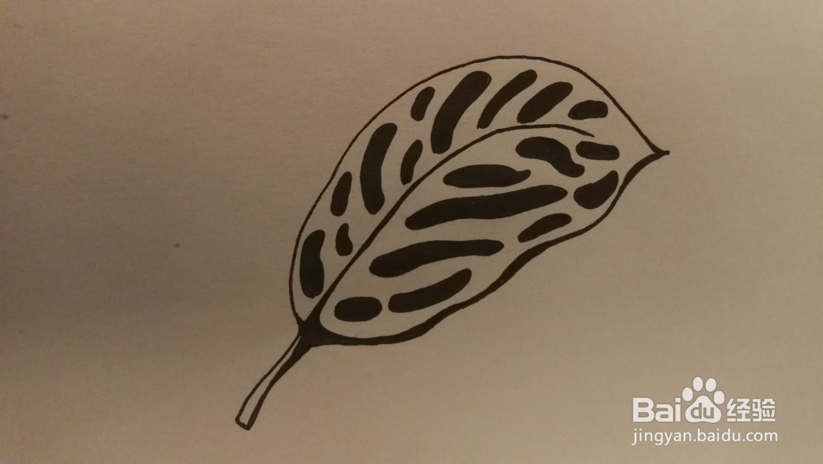 #经验分享官#黑白洞洞叶子简笔画