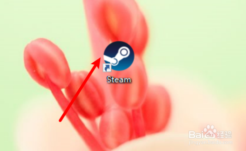 电脑版steam怎么设置自动缩放文本和图标？