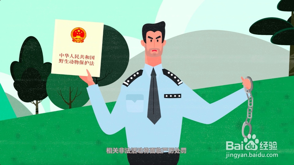 怎样正确保护野生动物