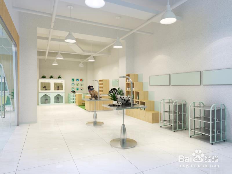 新手开家宠物店加盟费多少钱