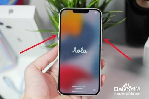 苹果13怎样快速截图