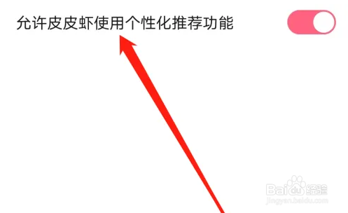 如何开启允许皮皮虾使用个性化推荐功能？