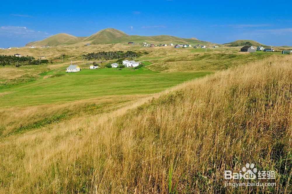 如何运用森田疗法治疗强迫症