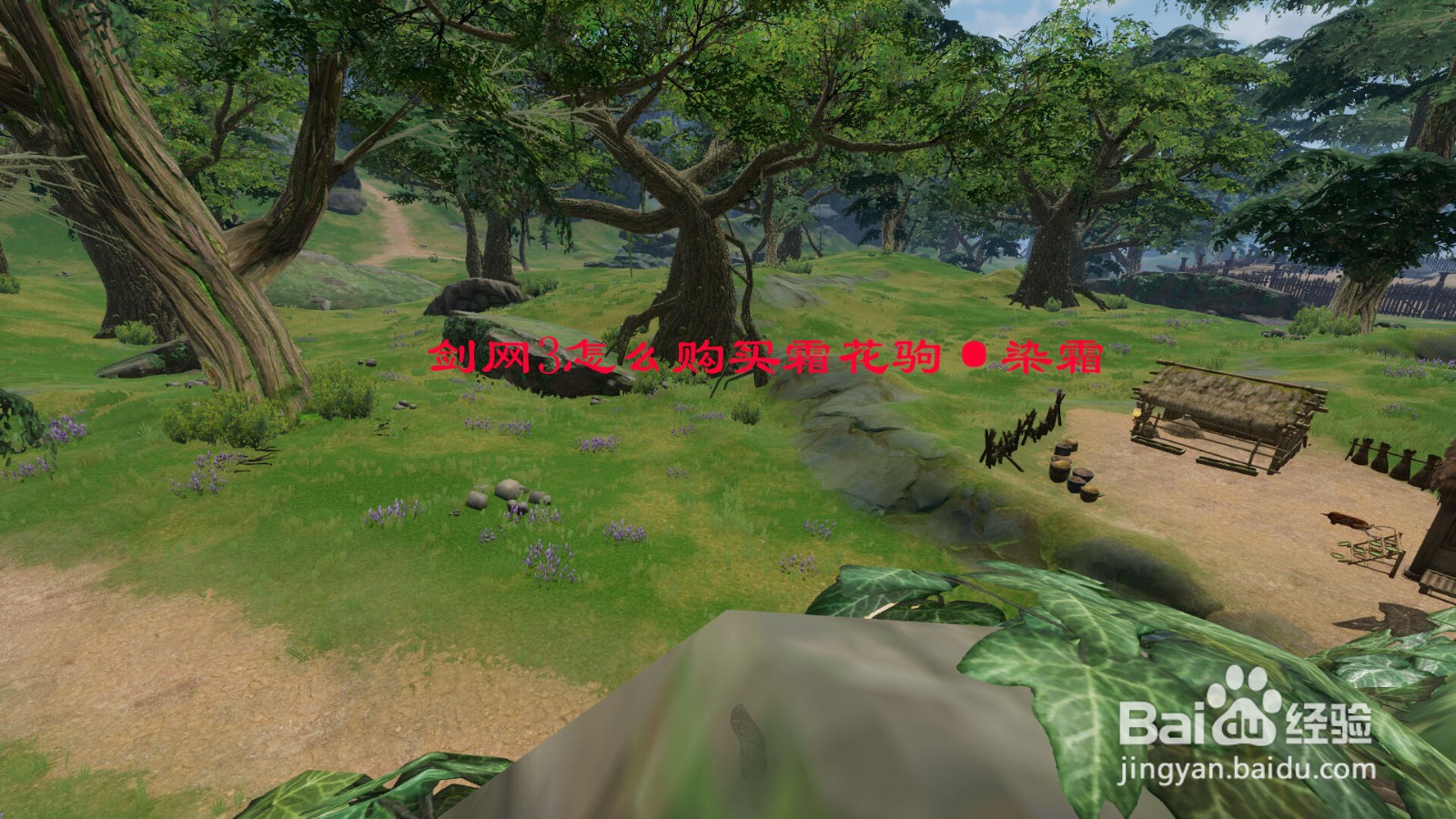 剑网3怎么购买霜花驹·染霜