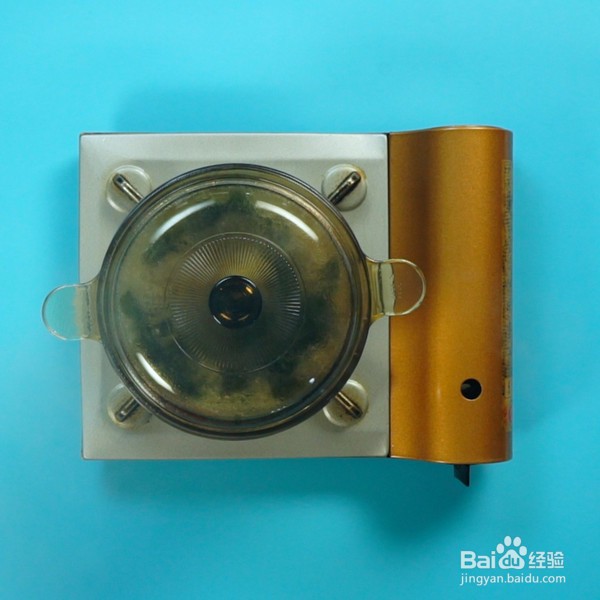 如何做海带排骨汤