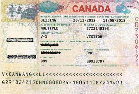 多伦多生子攻略之问题解答