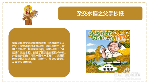 杂交水稻之父手抄报
