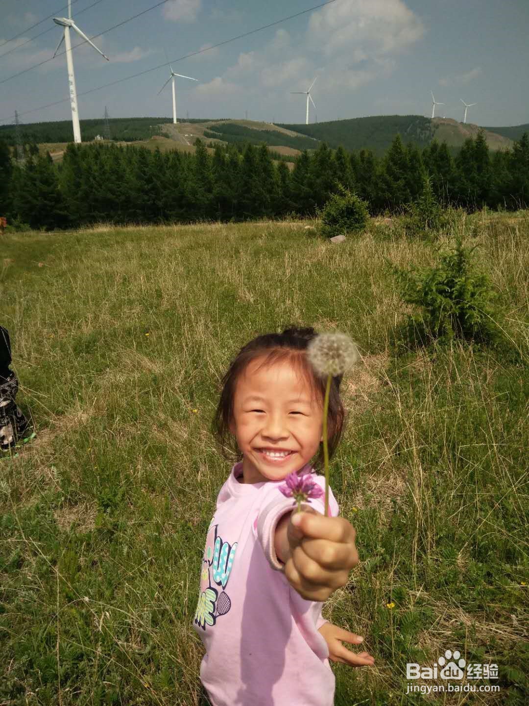 草原天路自驾路线地图