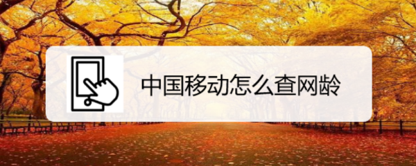 中国移动怎么查网龄