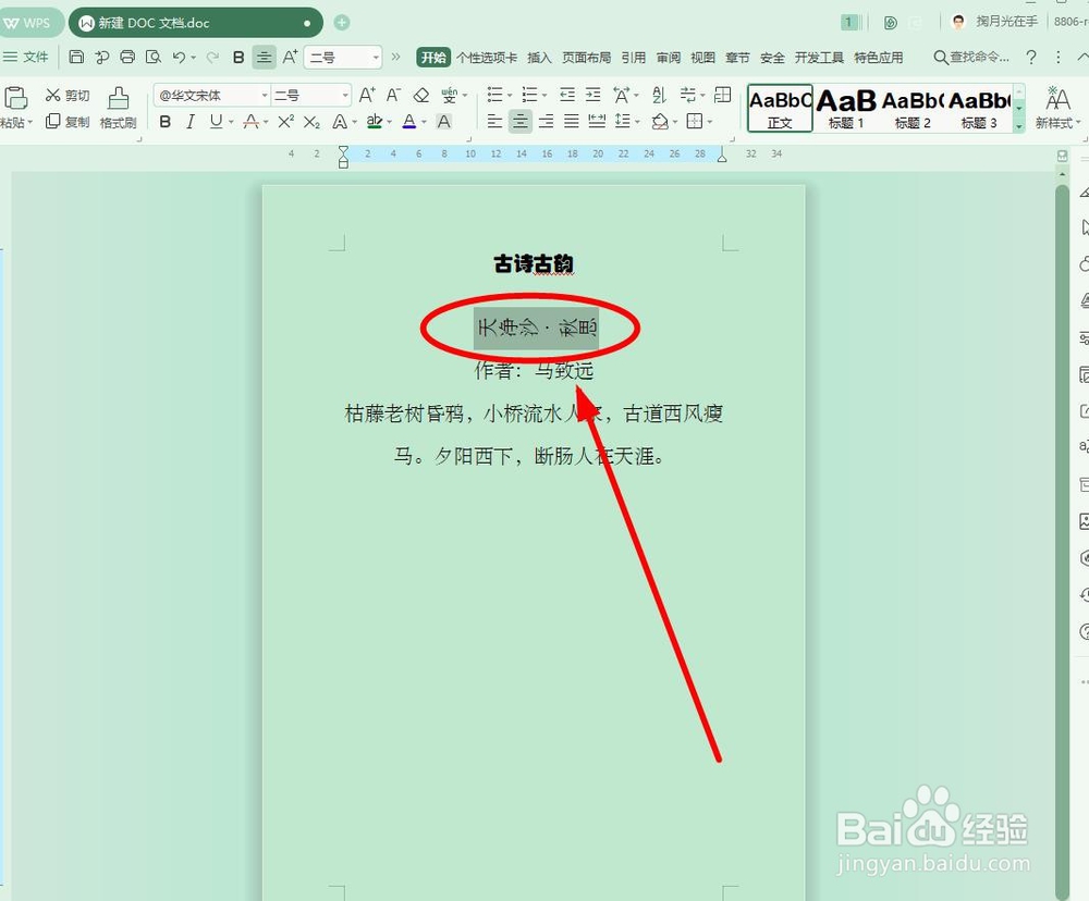 WPS文字中改变文字方向的方法