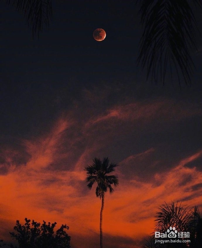 2020最强嘲讽语录,话糙理不糙,写得真好!