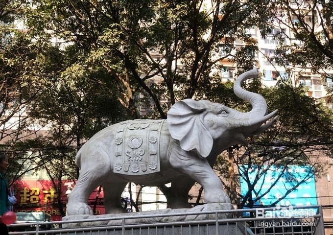 体验重庆的市井与文艺之旅