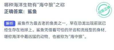 哪种海洋生物有海中狼之称?神奇海洋1.4答案