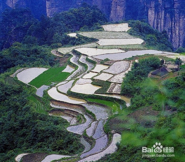 张家界景点住宿