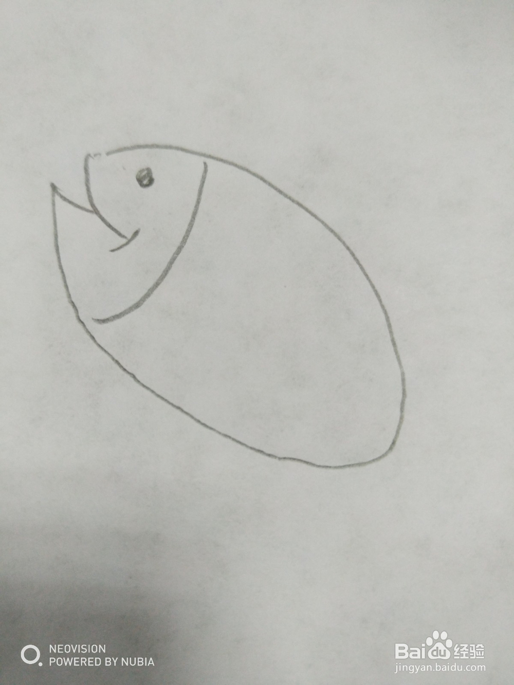 简单的小鱼怎么画（十）
