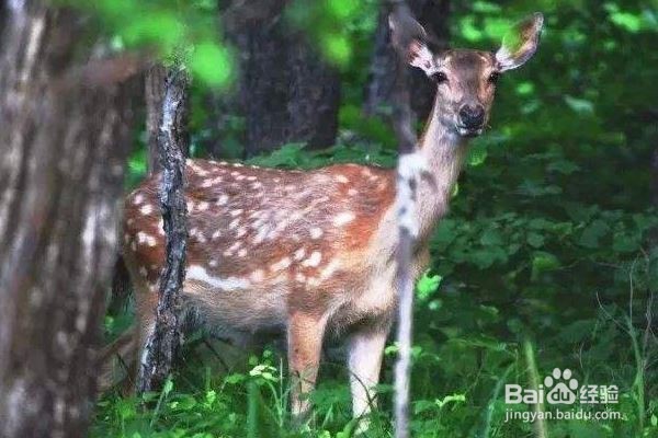 6处新建国家级自然保护区