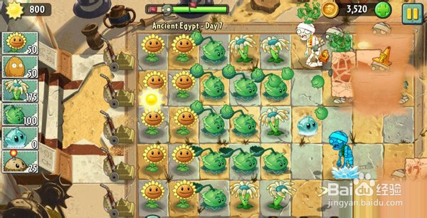 《植物大战僵尸2》通关图文攻略ios版---第五关