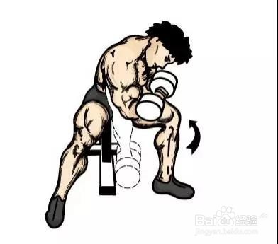 只需一对哑铃,在家锻炼全身肌肉!