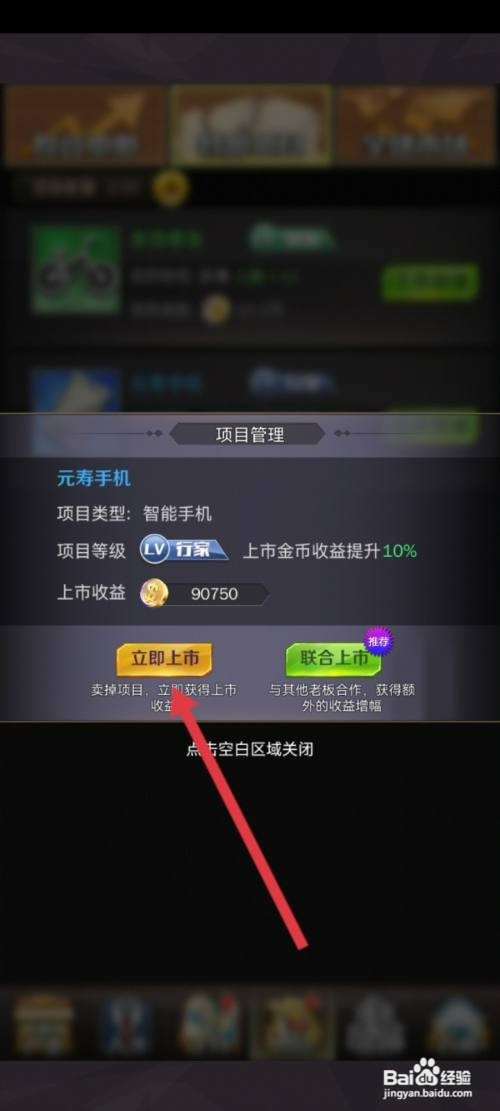 商道高手如何上市投资的公司