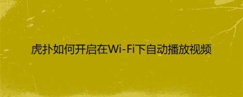 虎扑如何开启在Wi