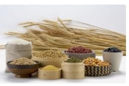 尿酸高的人可以吃些什么？