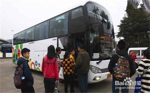 旅游巴士导游如何主持