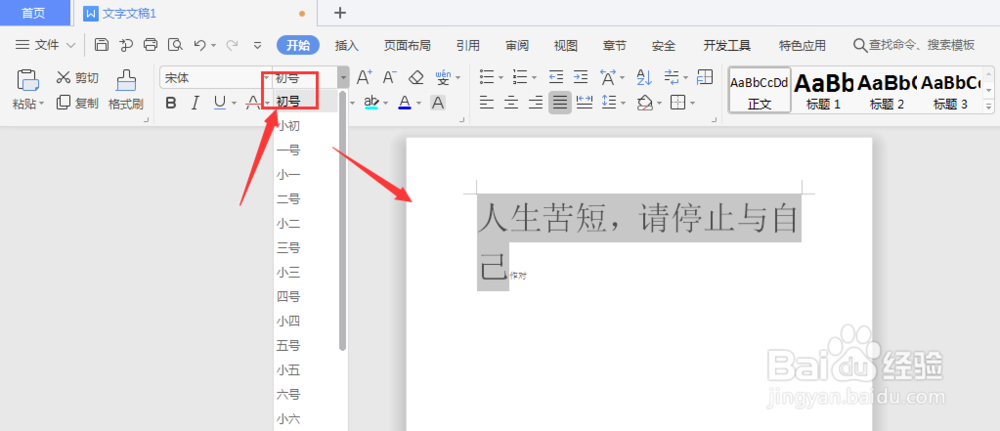 WPS文档中如何调整文字大小