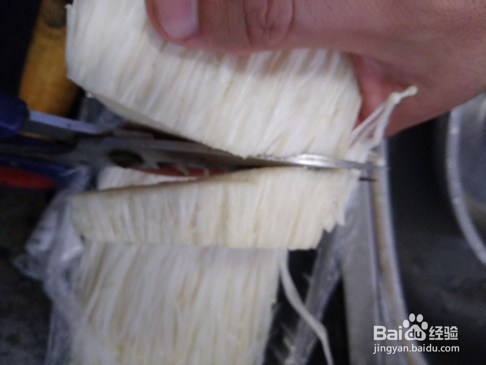 金针菇的根部剪切