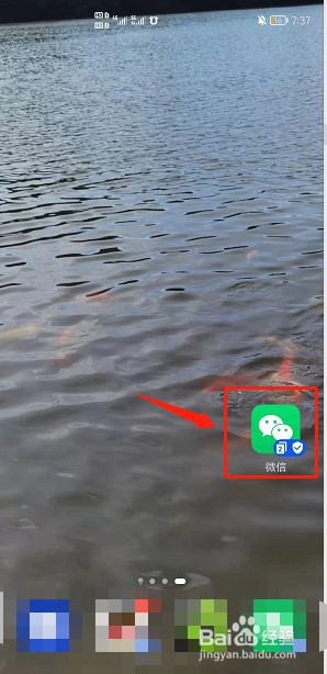 微信怎么查看账单
