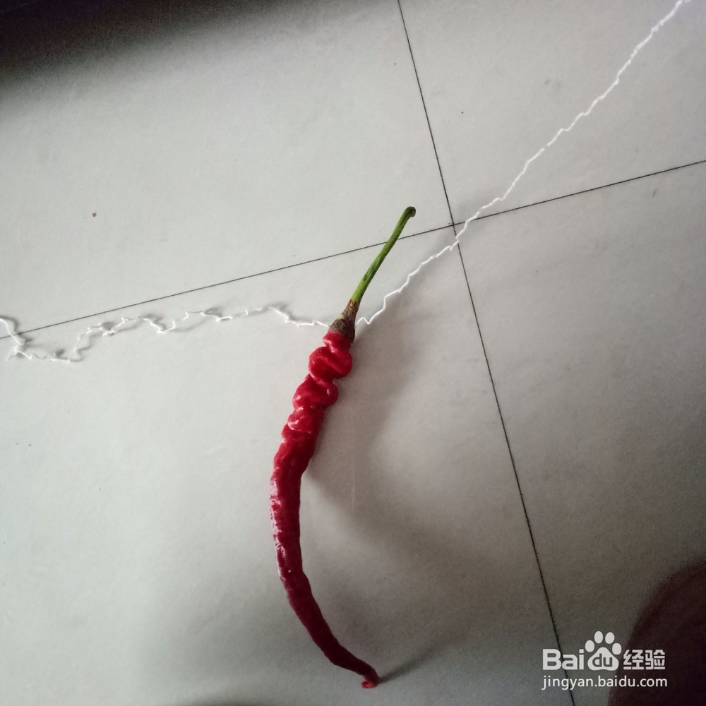 怎样串红辣椒